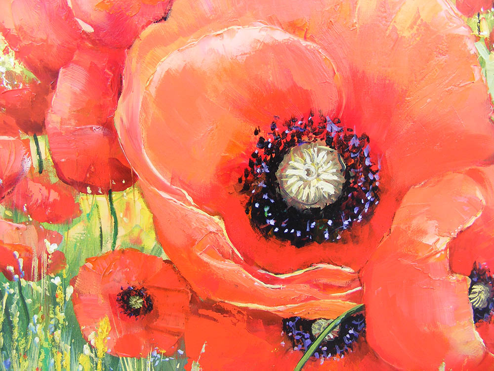The Field of Poppies